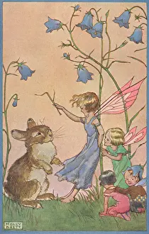Molly Brett (peter Cope): Fairyland - fairies and rabbit