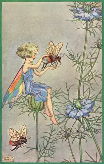Fairyland - fairy and bee