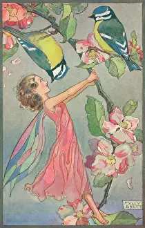 Fairyland - fairy and bluetits