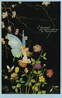 Dreamed: Fairyland fantasy