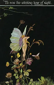Witching: Fairyland fantasy