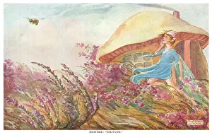 Fairyland - Heather - Solitude