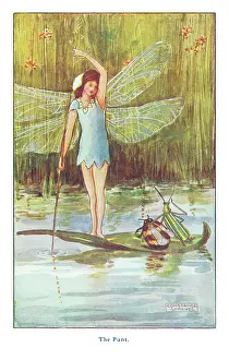 Fairyland - The Punt