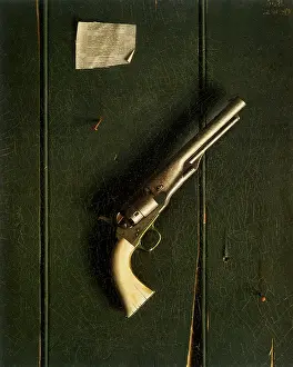 Harnett: The Faithful Colt