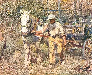 Fidler: Faithful Servants