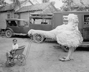 Strollers: Fake ostrich pushing boy in stroller