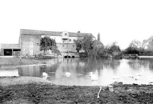 Fakenham: Fakenham, Hempton Mill 1921