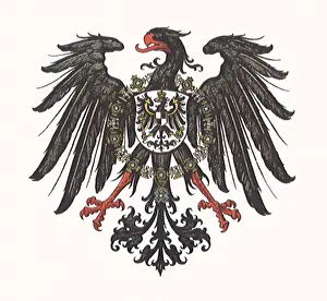 Talons: Falcon Arms