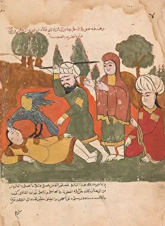 Plucks: The Falcon Plucks out the Eyes of the Falconer