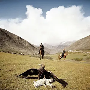 Falconry, 1976