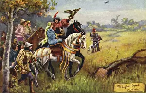 Medaeval: Falconry