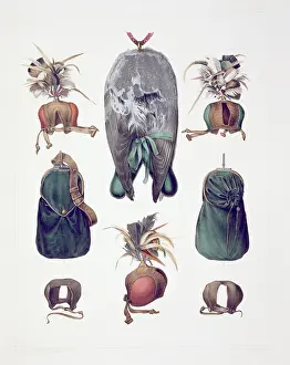 Falconidae: Falconry equipment