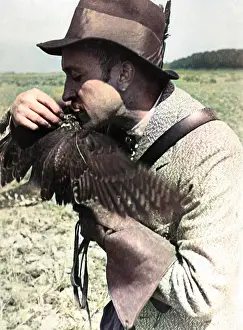 Hawking: FALCONRY : FEEDING