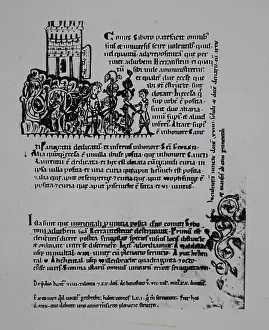 Winemaker: Falkensteiner Codex