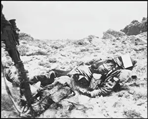 David Kirby: FALKLANDS/DEATH