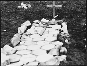 David Kirby: FALKLANDS/GRAVE