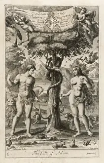 Consequences: THE FALL OF ADAM