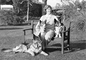Owners: FALL/ALSATIAN & OWNER