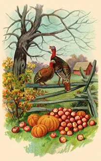 Bounty: Fall Bounty
