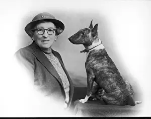 Owners: FALL/BULL TERRIER/OWNER