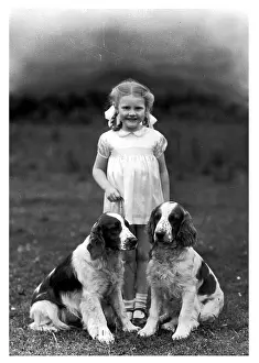 Ribbons: FALL/CHILD & SPANIEL