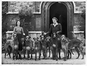 Deerhound: FALL/DEERHOUNDS/1950