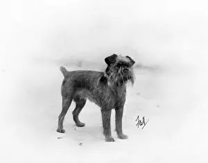 Griffon: FALL/GRIFFON/1932