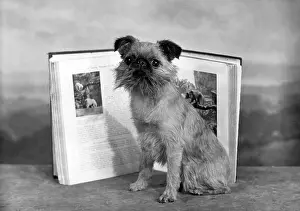 Unnamed: FALL/GRIFFON/WITH BOOK
