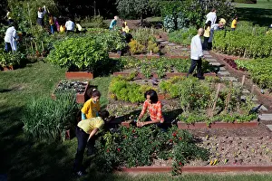 Advocacy: Fall Harvest of the White House Kitchen Garden