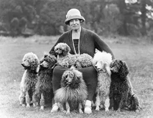 Knitted: FALL/HUTCHINSON/POODLES