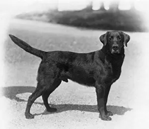 Howe: FALL/LABRADOR/1924