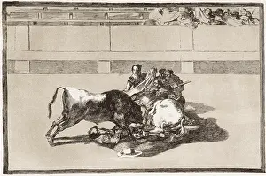 Picador: Fall of the Picador under the Bull