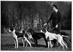Whitwell: FALL/POINTER/WHITWELL