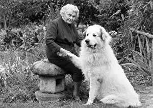 Owners: FALL/PYRENEAN MOUNTAIN