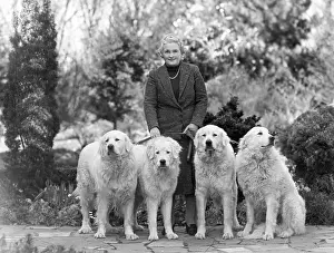 Owners: FALL/PYRENEAN MOUNTAIN