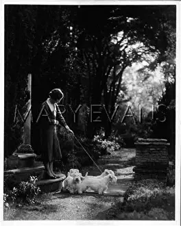 Sealyhams: FALL/SEALYHAM TERRIERS