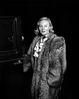 Fur Coat: The Fallen Idol (1948)