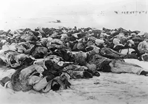 Sowjetunion: Fallen Russian soldiers on the Eastern Front, 1943