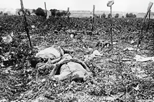Amount: Fallen soldiers, 1916