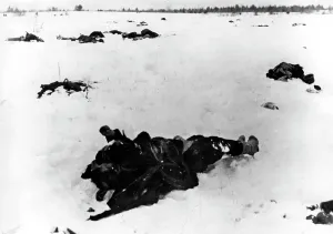 Heights: Fallen soldiers in Demyansk, 1942