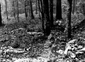 Corpses: Fallen soldiers in Slovakia, 1944