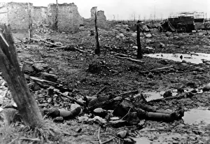 Corpses: Fallen Soviet soldiers in Cholm, 1942