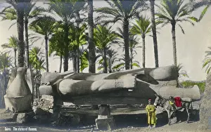Toppled: Fallen Statue of Rameses II ('The Great'), Cairo, Egypt