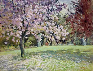 Ridley: Falling Cherry ' garden with statues