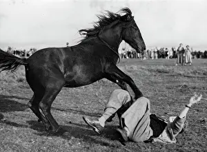 Pluck: Falling at a rodeo