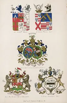 Burnes: FAMILY COATS OF ARMS 16