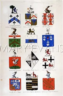 Tripp: FAMILY COATS OF ARMS 4