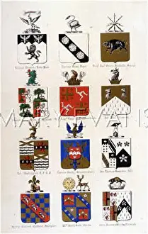 Brancker: FAMILY COATS OF ARMS 6