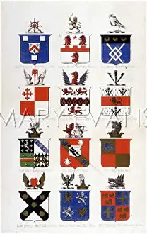 Crosse: FAMILY COATS OF ARMS 7