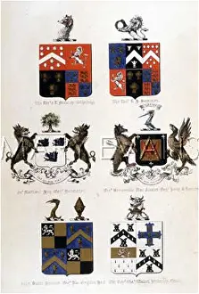 Bowdon: FAMILY COATS OF ARMS 9